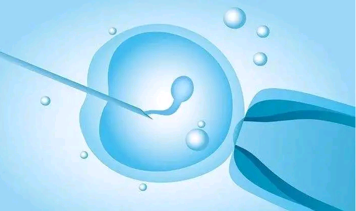 试管婴儿供卵需几颗&严重弱精试管成功的,2023新疆三代试管生男孩医院名单，附