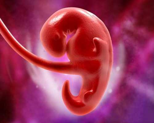 供卵试管婴儿全部流程&精子分离术,盘点为什么说孕期胎位低是生男孩的征兆，